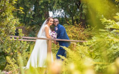 Top 7 Best Locations in Birmingham Botanical Gardens for Pre Wedding Photoshoot | Pre wedding photo shoot